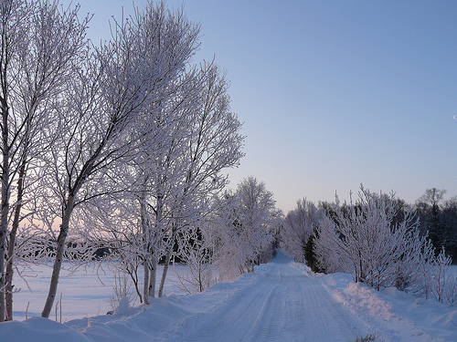 Winter at McKay Island