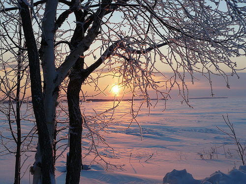 Winter sunrise