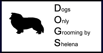 Dogs Only Grooming by Shelena