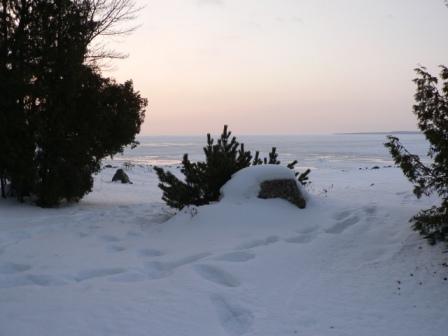 Winter sunrise